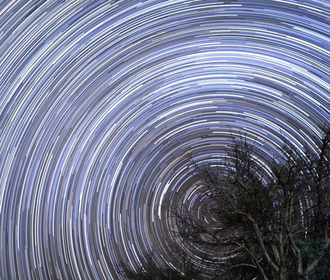 La imagen muestra un árbol solitario en medio de un cielo nocturno estrellado. El árbol es alto y delgado, con un tronco marrón oscuro y ramas delgadas que se extienden hacia el cielo. El cielo está lleno de estrellas, que forman un círculo alrededor del árbol. Las estrellas son de diferentes colores, incluyendo blanco, amarillo, naranja y rojo. El cielo es azul oscuro, con un toque de morado. La imagen es una larga exposición, por lo que las estrellas parecen moverse en el cielo.